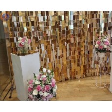 Паєтки золото/срібло