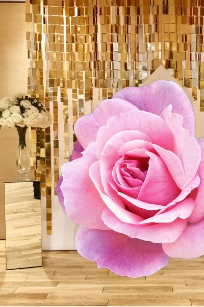 Паєтки золото/срібло