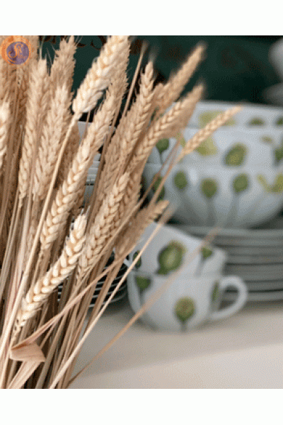 Колоски / пшениця/жито