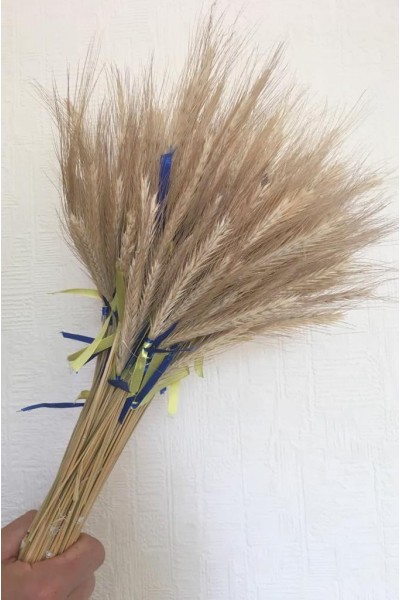 Колоски / пшениця/жито