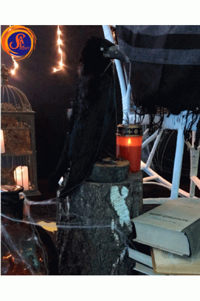 Опудало ворона