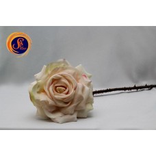 Троянда із шипами