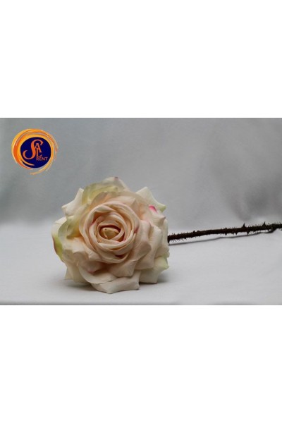 Троянда із шипами