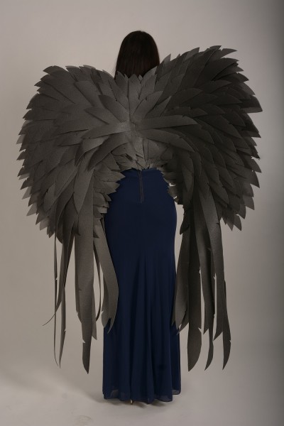 Крила великі чорні