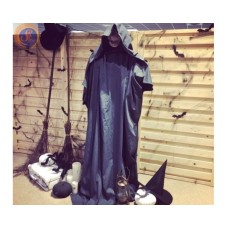 «З привидом»