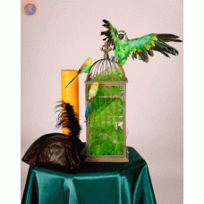 Папуги муляж