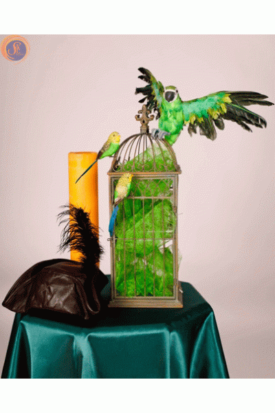 Папуги муляж