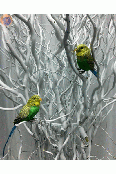 Папуги муляж