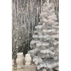 Ялинка біла (2 метри)