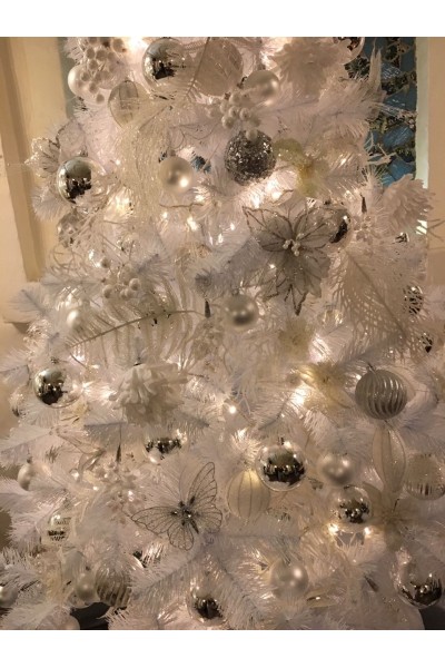 Ялинка біла (2 метри)