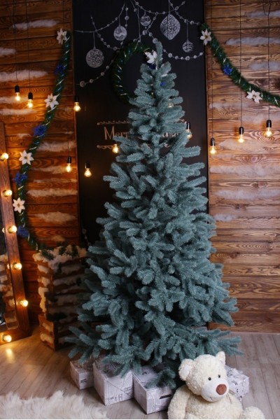 Ялинка лита блакитна (2,5 м)