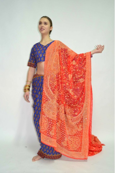 індійські сарі