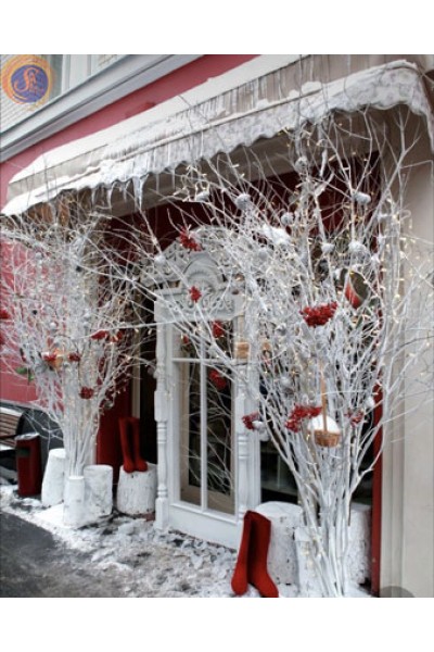 Дерево біле декоративне