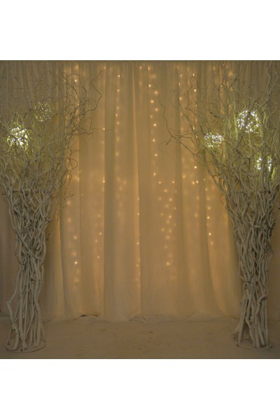 Дерево біле декоративне