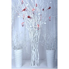 Дерево біле декоративне