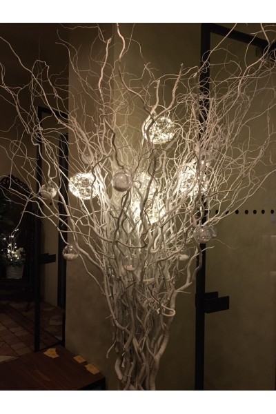 Дерево біле декоративне