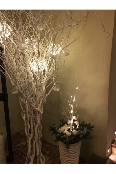 Дерево біле декоративне