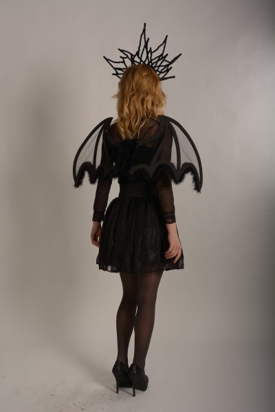 Крила летючої миші