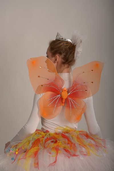 Крылья оранжевые