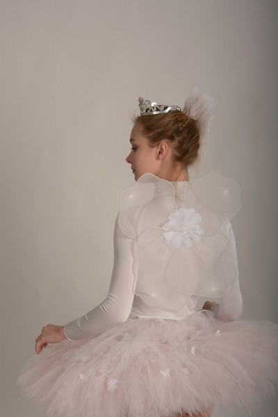 Крылья белые маленькие