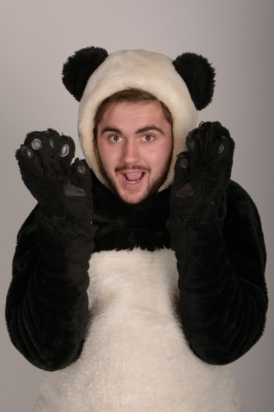 Панда ростова 