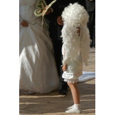 Крила маленькі білі