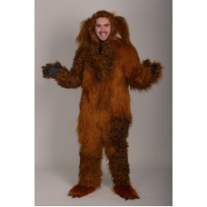 Собака руда ростова