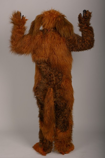 Собака руда ростова