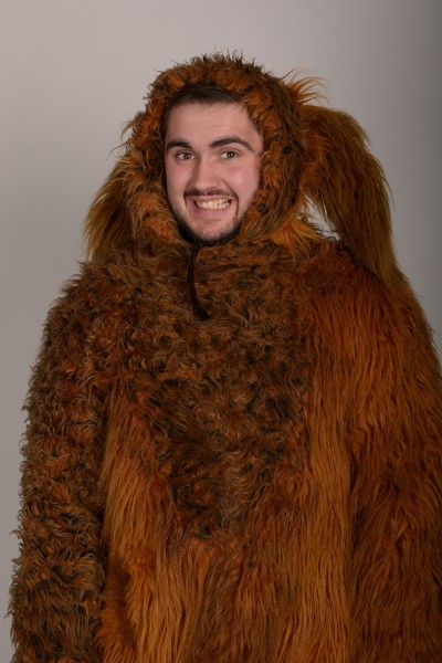 Собака руда ростова