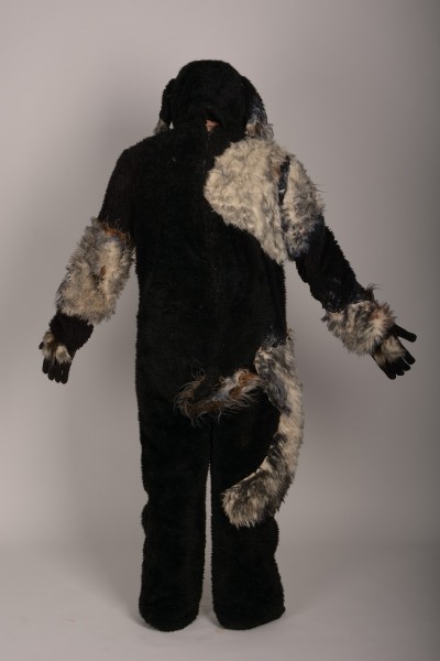 Собака чорно-сіра ростова 