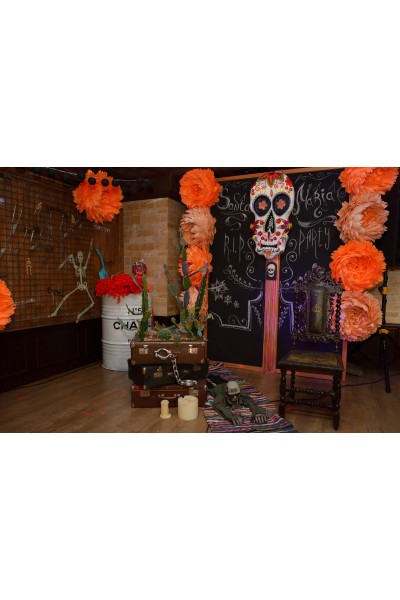 Ростові квіти хризантеми