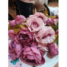 Головки квітів в асортименті