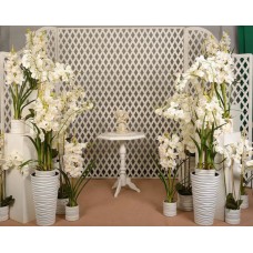 Поляна орхидей