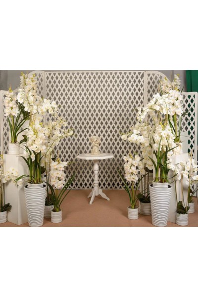 Поляна орхидей