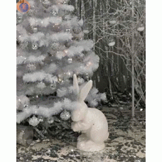 Заєць декоративний