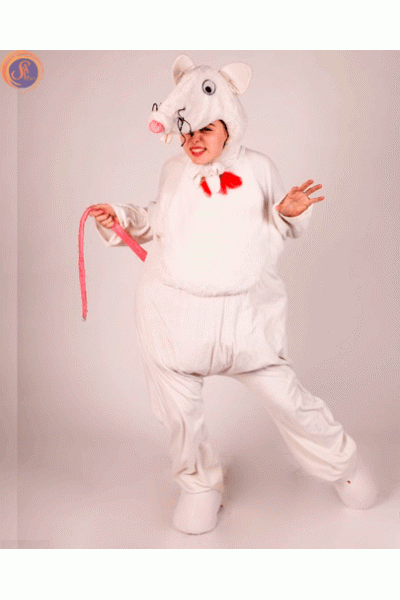 Пацюк білий 