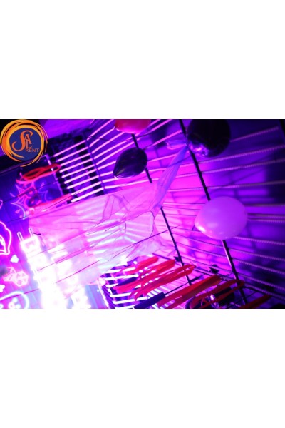 Харлі Квінн