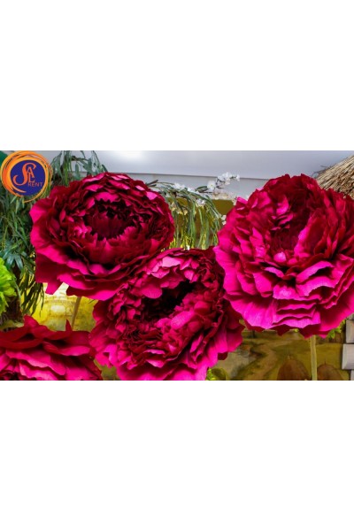 Аліса в країні чудес