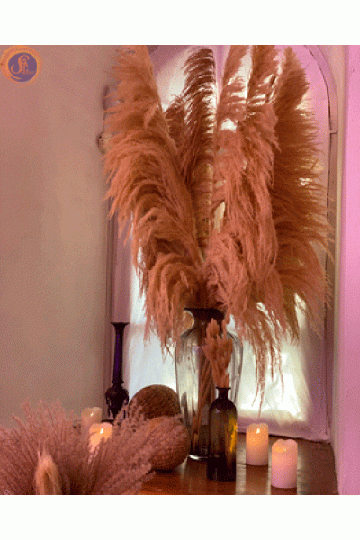 Пампасна трава