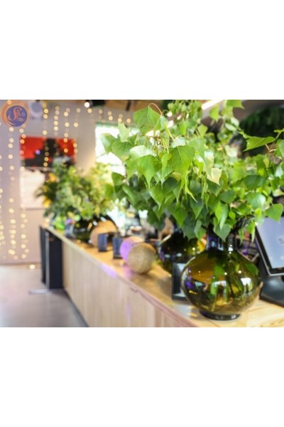 Ідея: свято у стилі Еко