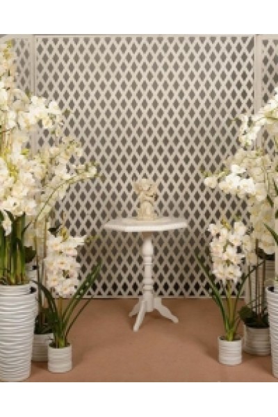 Ніжна орхідея