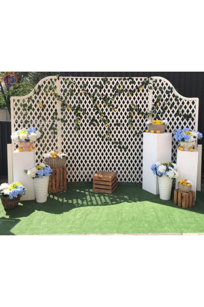 Фотозона «Лимонна»