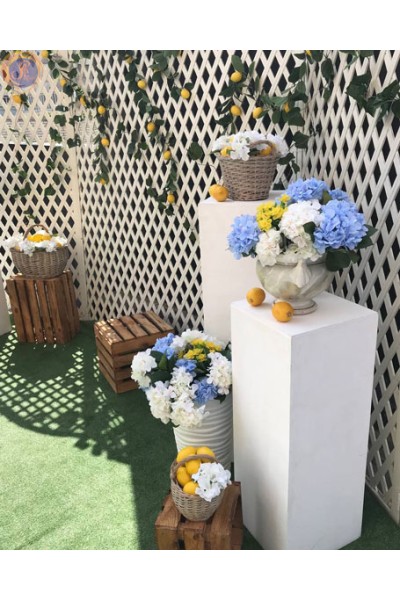 Фотозона «Лимонна»