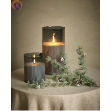 Гілки сосни