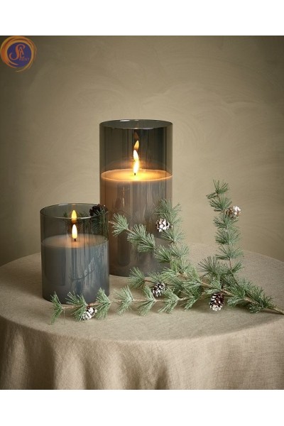 Гілки сосни