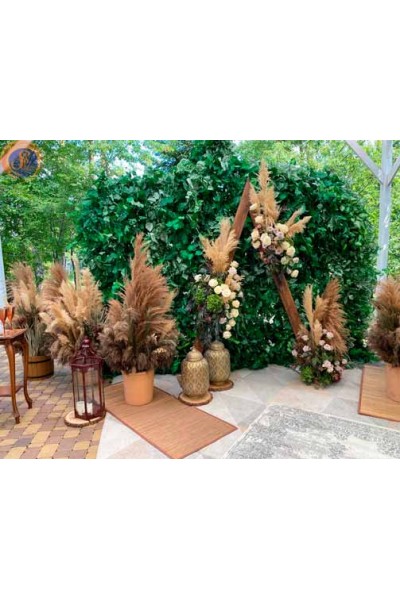 ФОТОЗОНА «GREEN BOHO»