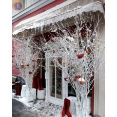 Дерева з валентинками