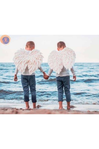 Крила маленькі білі 2