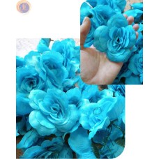 Головки квітів бірюзові