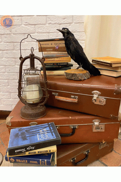 Гаррі Поттер